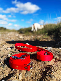 CHILL dog leash made of BioThane®/POP tape